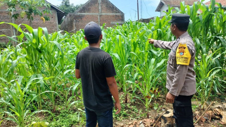 Mengajak Masyarakat Bersama-Sama Mendukung Ketahanan Pangan Nasional